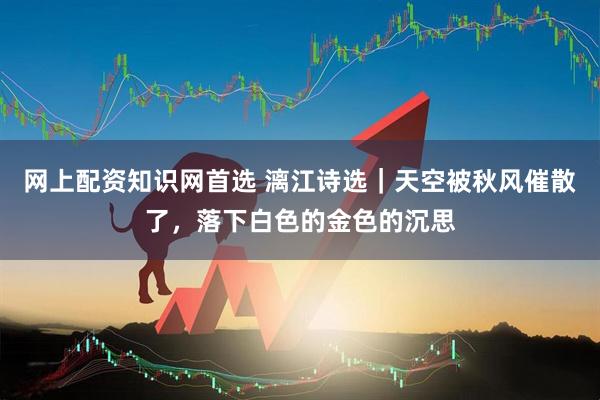 网上配资知识网首选 漓江诗选｜天空被秋风催散了，落下白色的金色的沉思